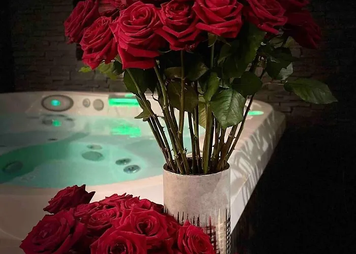 O Venus Maison d'hôtes Sin-le-Noble