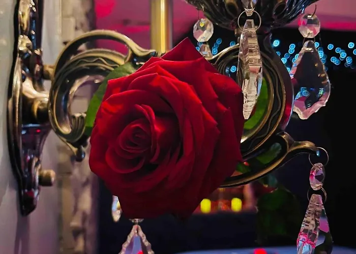 O Venus Maison d'hôtes