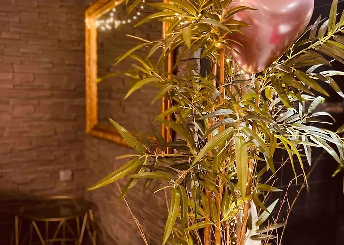 O Venus Maison d'hôtes Sin-le-Noble