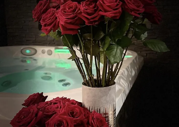 Maison d'hôtes O Venus Sin-le-Noble