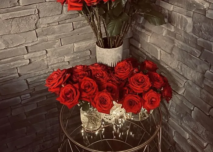 O Venus * Sin-le-Noble